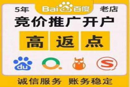 行业翘楚的sem代运营机构：成功案例解析